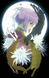 Booru post from safebooru.org