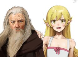 gandalf from monogatari (series)