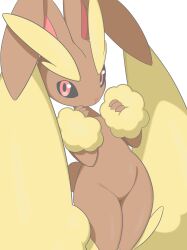 lopunny from pokemon