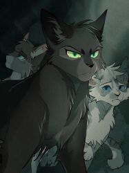 hollyleaf from warrior cats