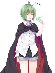 wriggle nightbug from touhou by crote