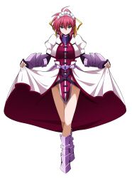signum from lyrical nanoha by oshimaru026