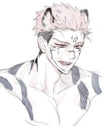 ryoumen sukuna (jujutsu kaisen) from jujutsu kaisen