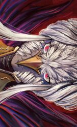 edelgard von hresvelg from fire emblem