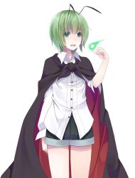 wriggle nightbug from touhou by crote