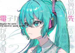 hatsune miku from vocaloid