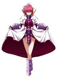 signum from lyrical nanoha by oshimaru026