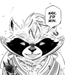 rocket raccoon from guardians of the galaxy