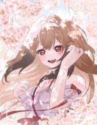ye shunguang from zenless zone zero