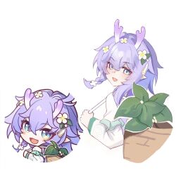 bailu (honkai: star rail) from honkai: star rail