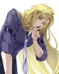 hugo vlad from zenless zone zero