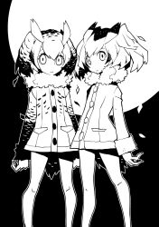 eurasian eagle owl (kemono friends) from kemono friends by dowman sayman