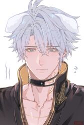 phainon (honkai: star rail) from honkai: star rail by mobtop99