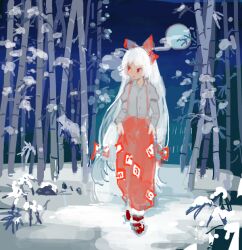 fujiwara no mokou from touhou