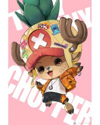 tony tony chopper from one piece by wandzardeen
