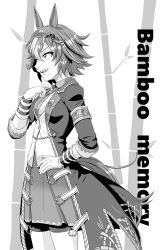 bamboo memory (umamusume) from umamusume