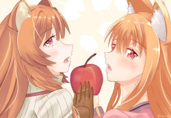 holo from spice and wolf