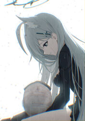 shiroko terror (blue archive) from blue archive