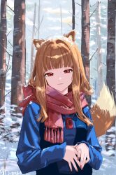holo from spice and wolf