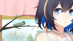 seele vollerei from honkai (series)