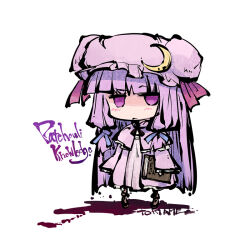 patchouli knowledge from touhou by tokiame