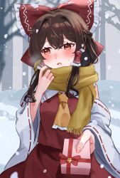 hakurei reimu from touhou