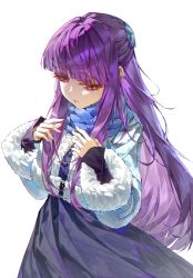 fern (sousou no frieren) from sousou no frieren