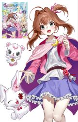 jewelpet (series) fan art