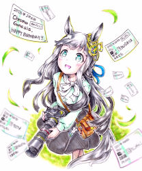 umamusume fan art
