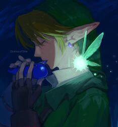 link from the legend of zelda by 9twoeight
