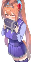 daiwa scarlet (umamusume) from umamusume