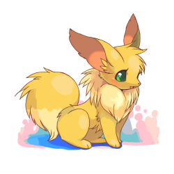 eevee from pokemon