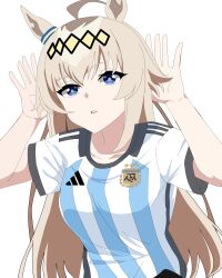 oguri cap (umamusume) from asociacion de futbol argentina