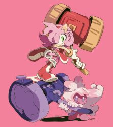 amy rose from pokemon