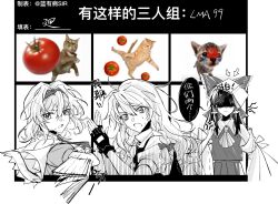 alice margatroid from touhou
