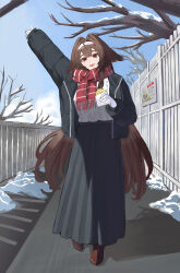 ye shunguang from zenless zone zero