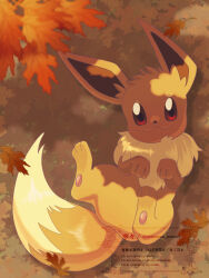 eevee from pokemon