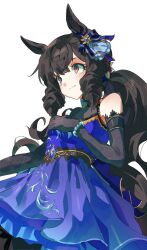 daiichi ruby (flowing blue) (umamusume) from umamusume by kerimka31328031