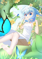 kafuu chino from gochuumon wa usagi desu ka?