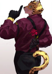 tokyo afterschool summoners fan art