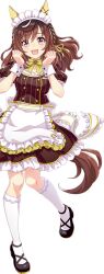 buena vista (umamusume) from umamusume