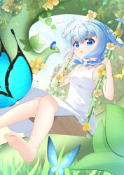 kafuu chino from gochuumon wa usagi desu ka?