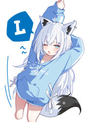 shirakami fubuki from hololive