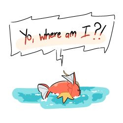 magikarp from pokemon