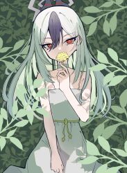 kayoko (blue archive) from blue archive