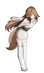 ye shunguang from zenless zone zero