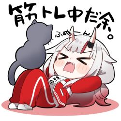 nakiri ayame from hololive