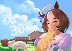 meisho doto (umamusume) from umamusume
