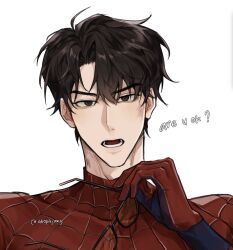 spider-man from omniscient reader's viewpoint by abopikjang
