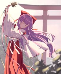 hakurei reimu from touhou